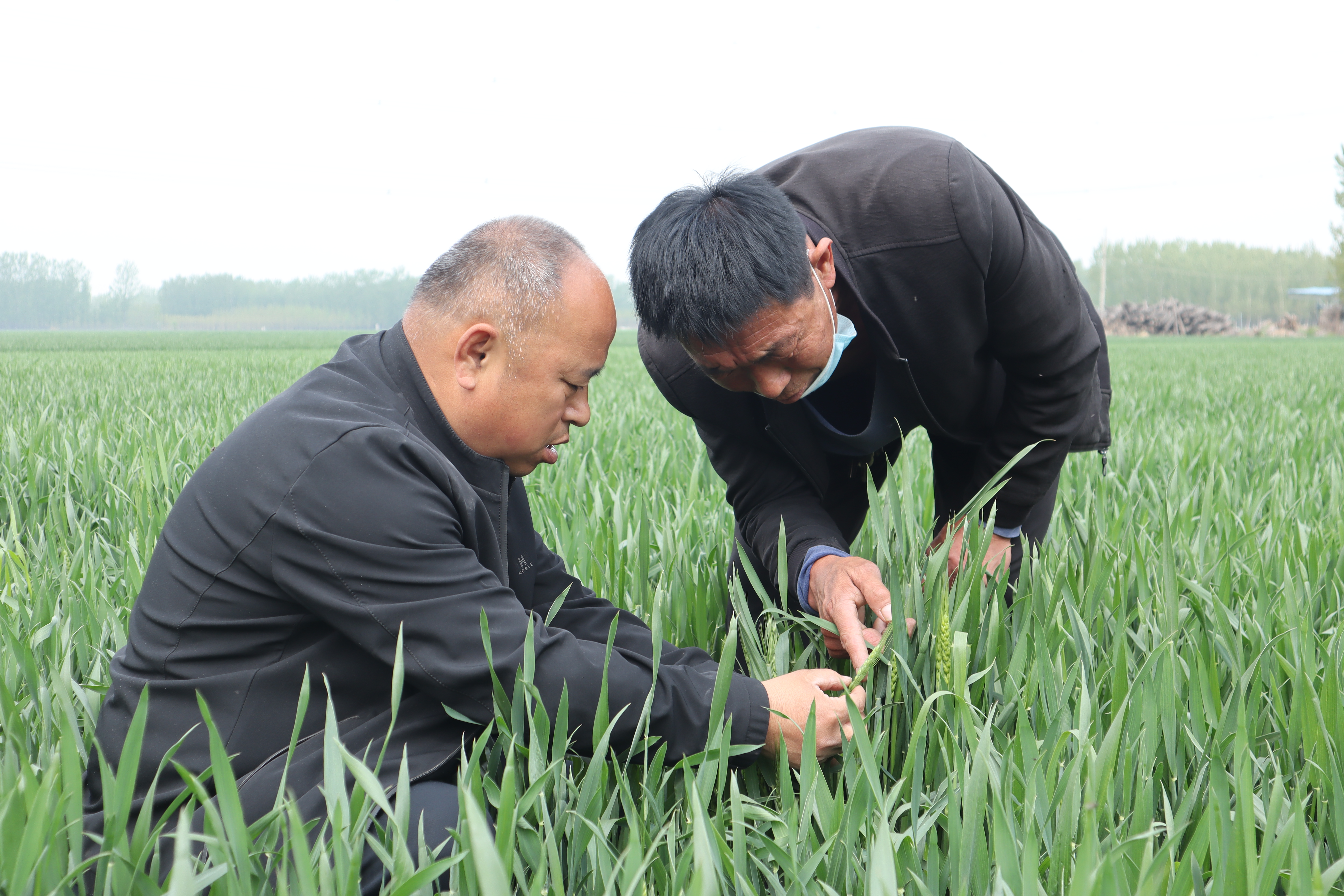 （蹲點行動）“訂單農業”穩民心—— “(2633899)-20220429103430.JPG